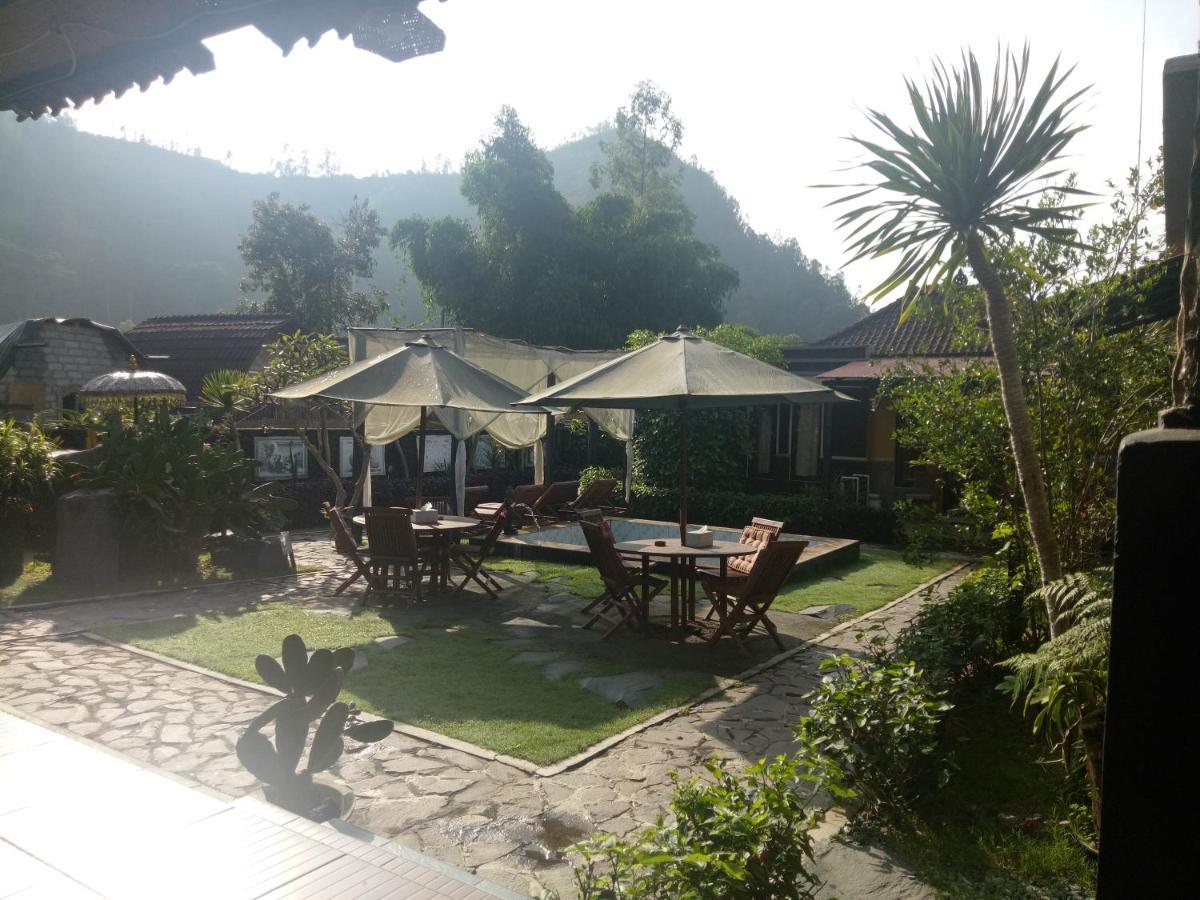 Bunbulan Hill Hostel And Cottage Kintamani  Екстер'єр фото